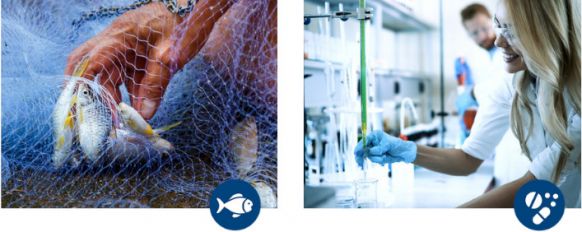 Motovario Clean Duty1