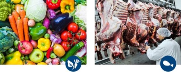 Motovario Clean Duty2